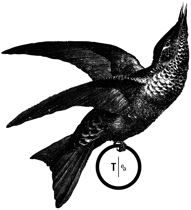 Logo mit Vogel