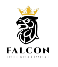 Falcon International Media Production logo