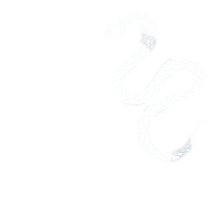 Fisioterapeuta Larissa Bobsin logo
