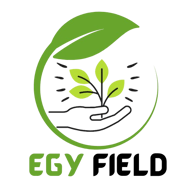 Egyfield logo