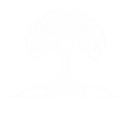 NURE Servicios Inteligentes logo