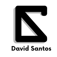 David Santos Salvador logo
