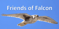 Friends of Falcon logo