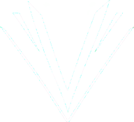 V logo made to resemble an open book.