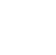 logo lmc drone