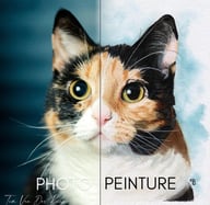 peinture de référence à cote du résultat en peinture de chat