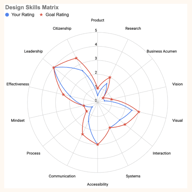 Example skills matrix spider graph