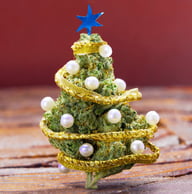 Cannabis Christmas in Malta