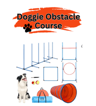 dog obstacle course