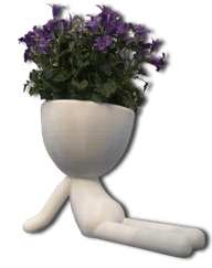 Pots de fleurs original