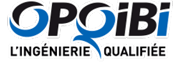 Logo qualification audit
