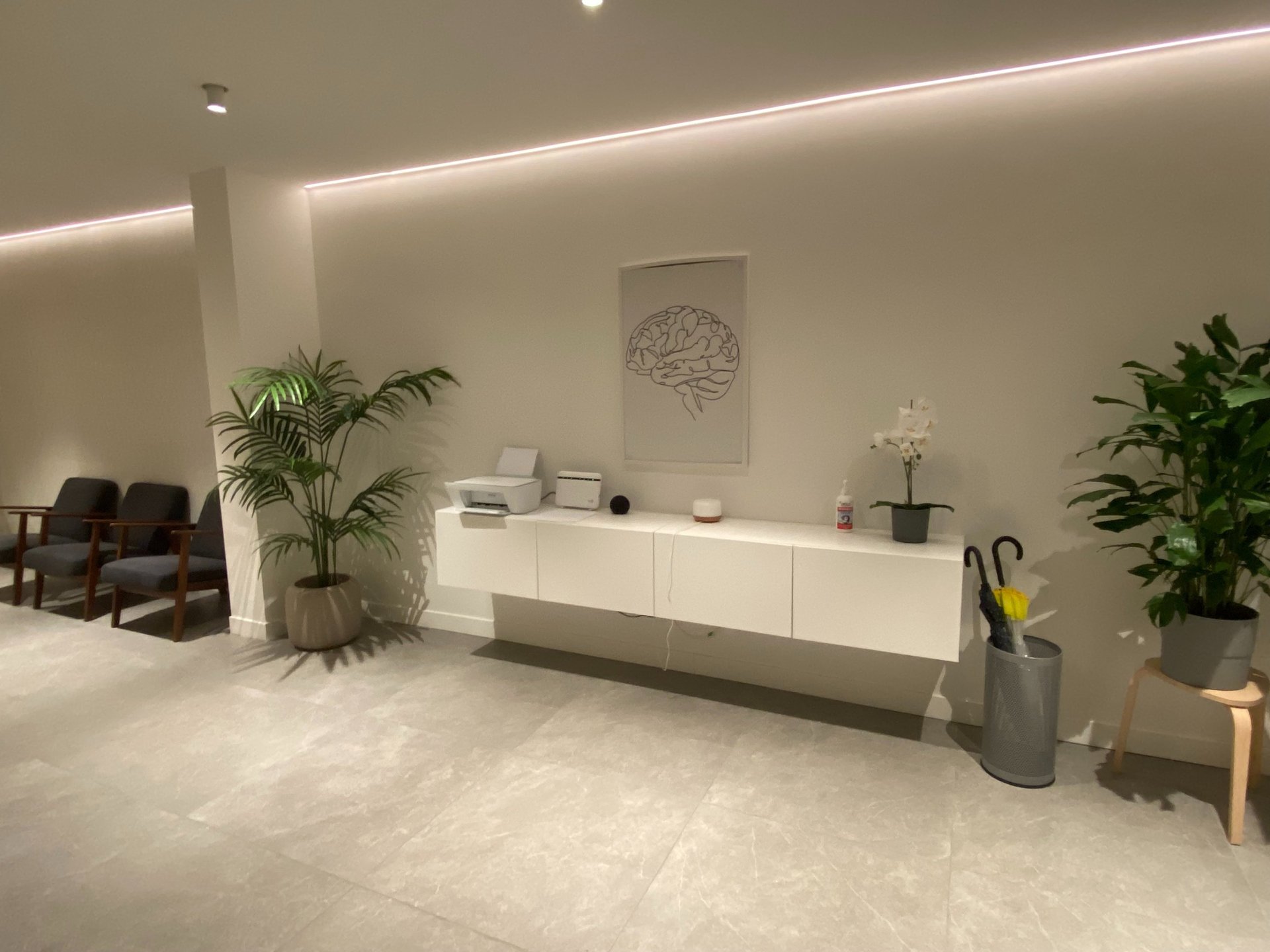 a living room with two chairs and a plant