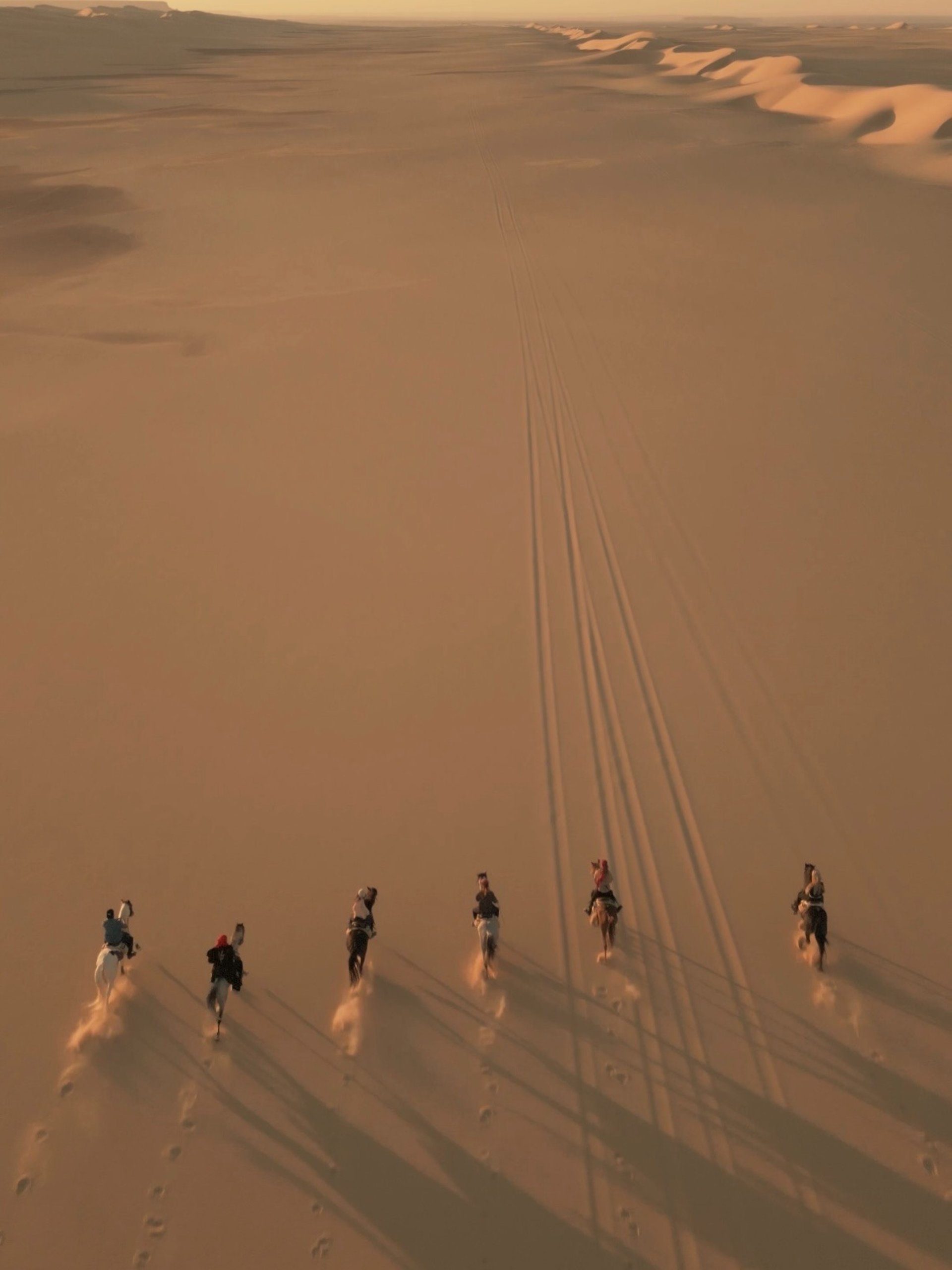 an abstract photo of a curved building with a blue sky in the background