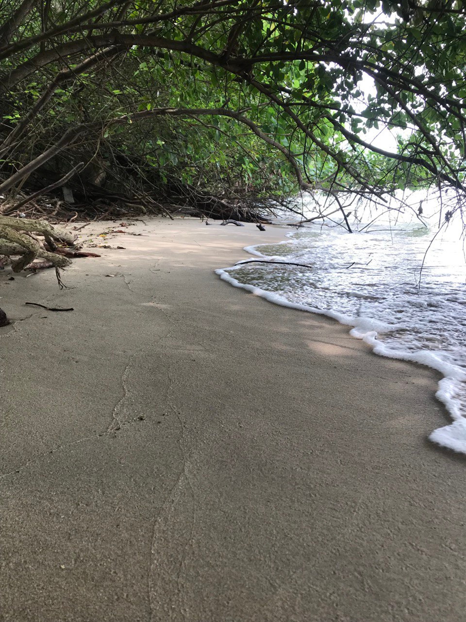 a close up of a christmas wreath on a red background