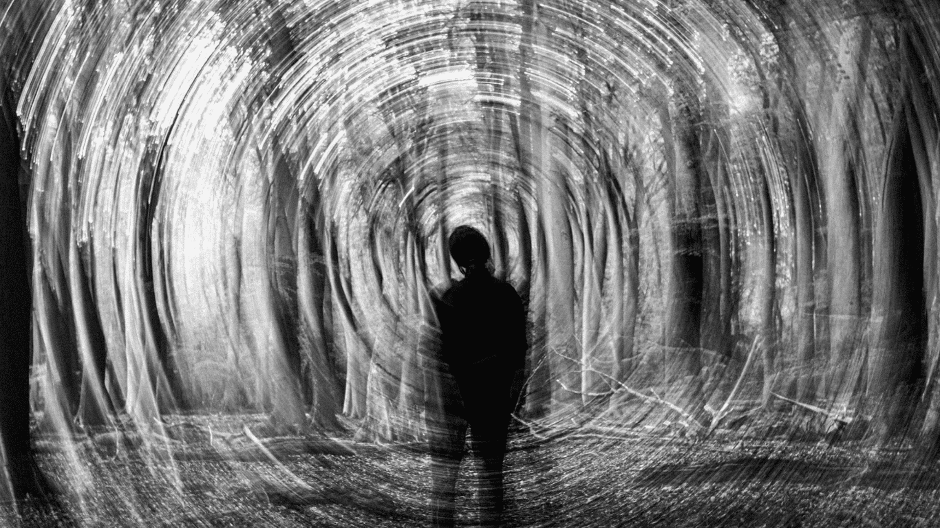 black blue and yellow textile