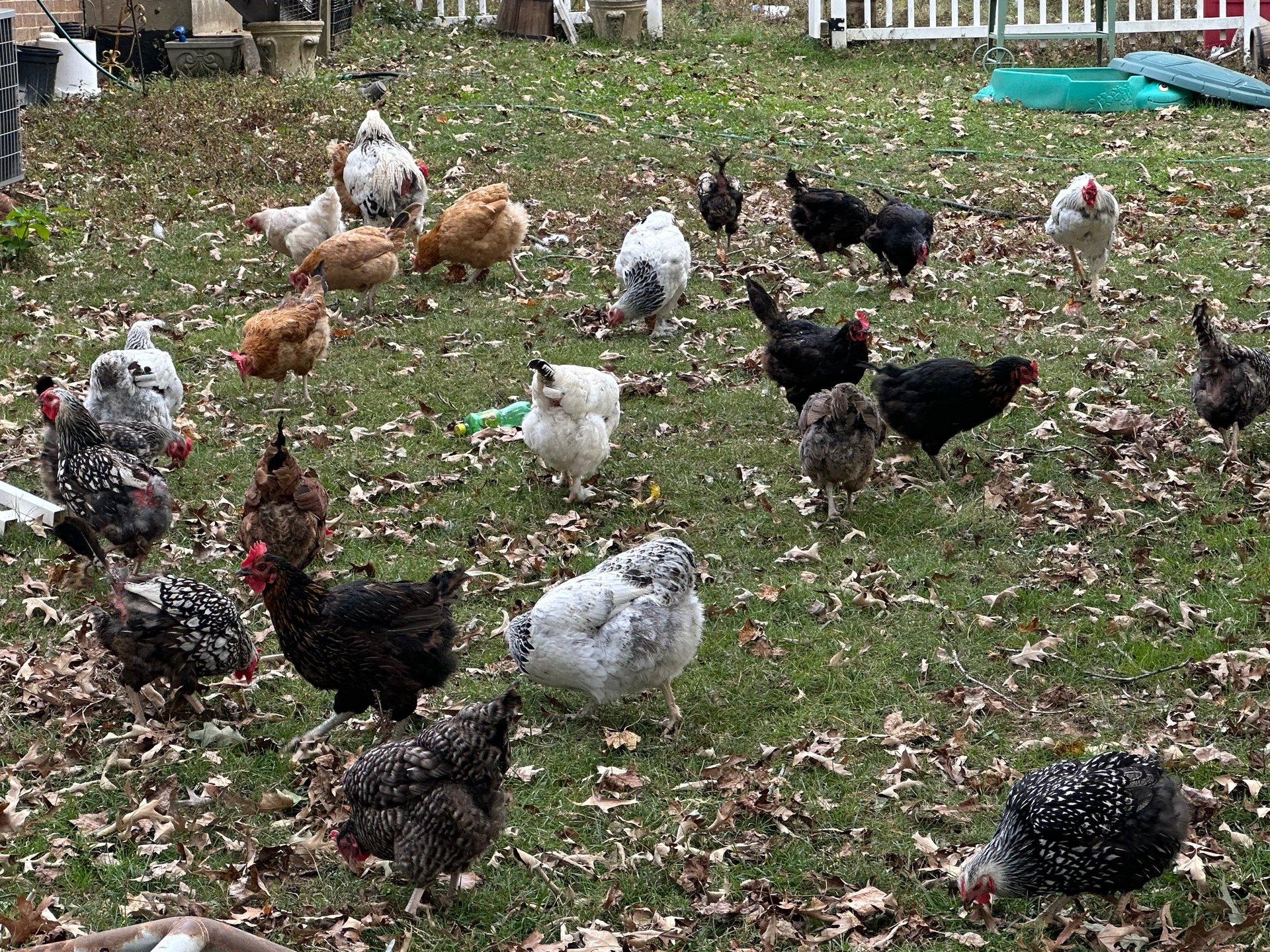woman wearing yellow long-sleeved dress under white clouds and blue sky during daytime