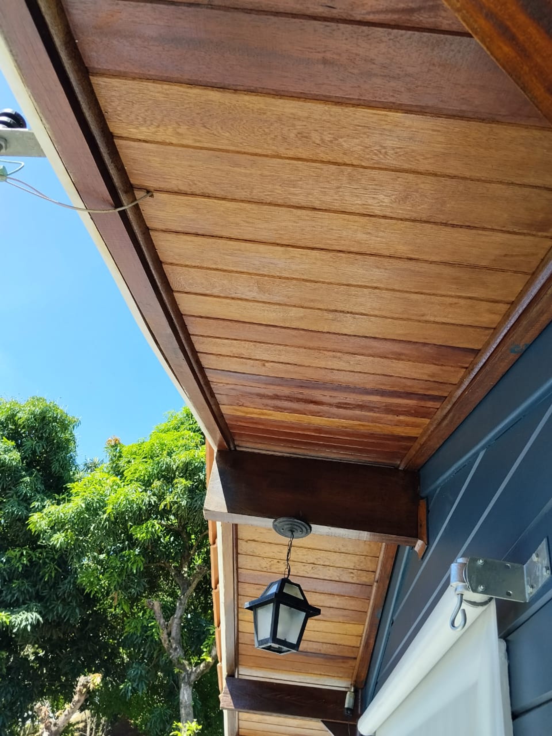 woman wearing yellow long-sleeved dress under white clouds and blue sky during daytime