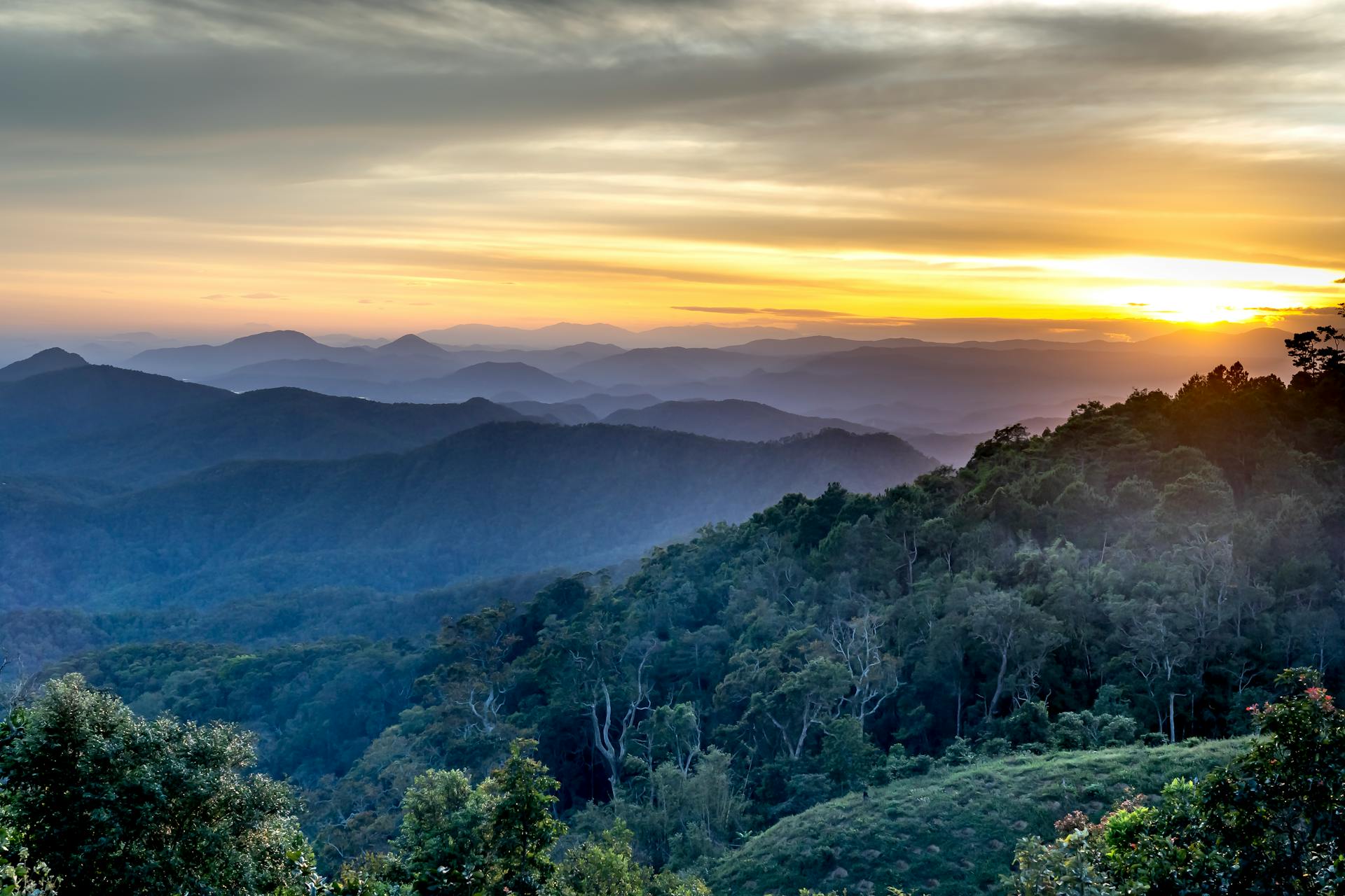 green trees on mountain during daytime