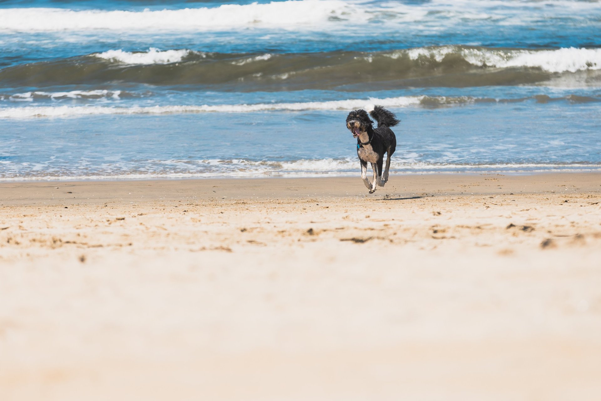 gray computer monitor