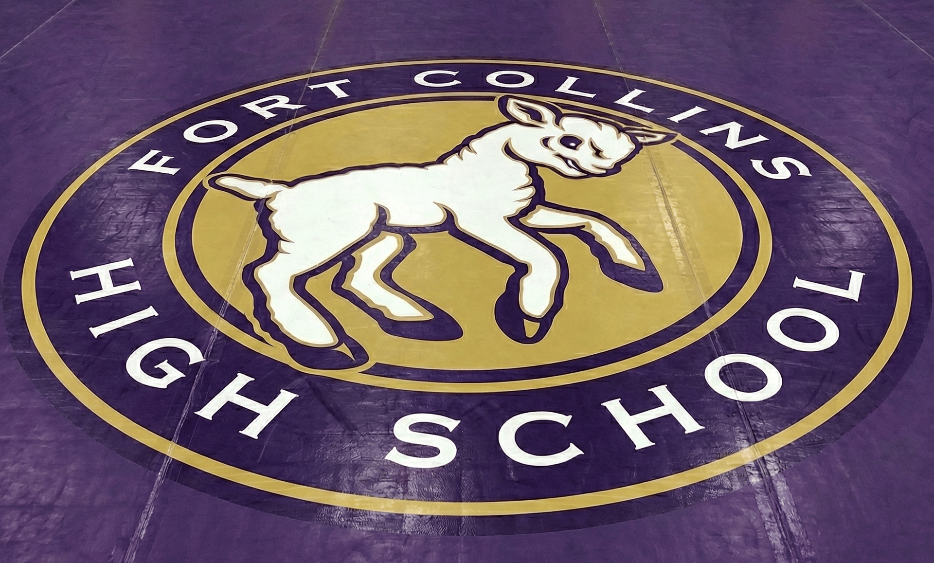 an abstract photo of a curved building with a blue sky in the background