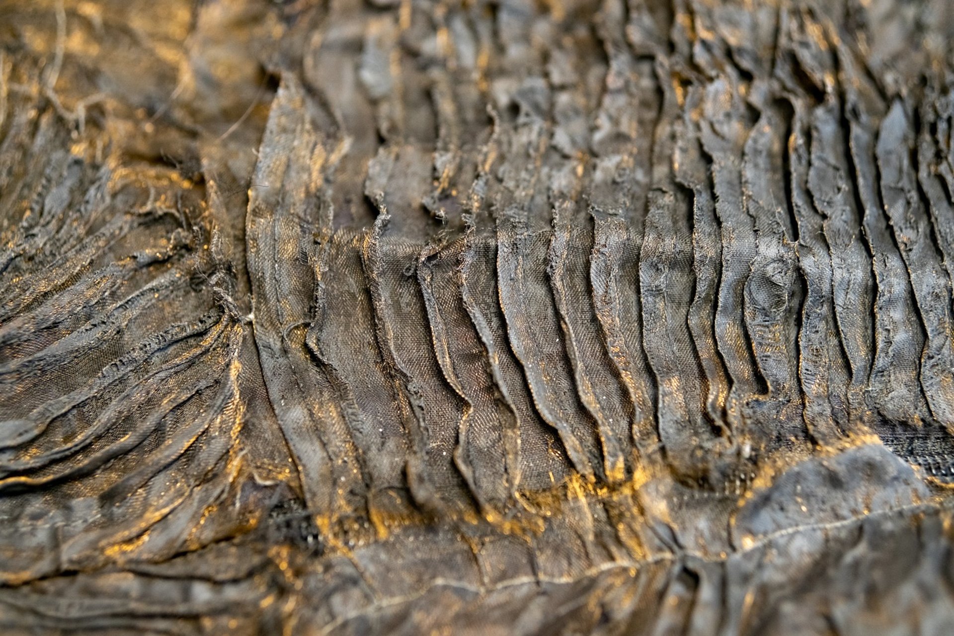 woman holding dried flower