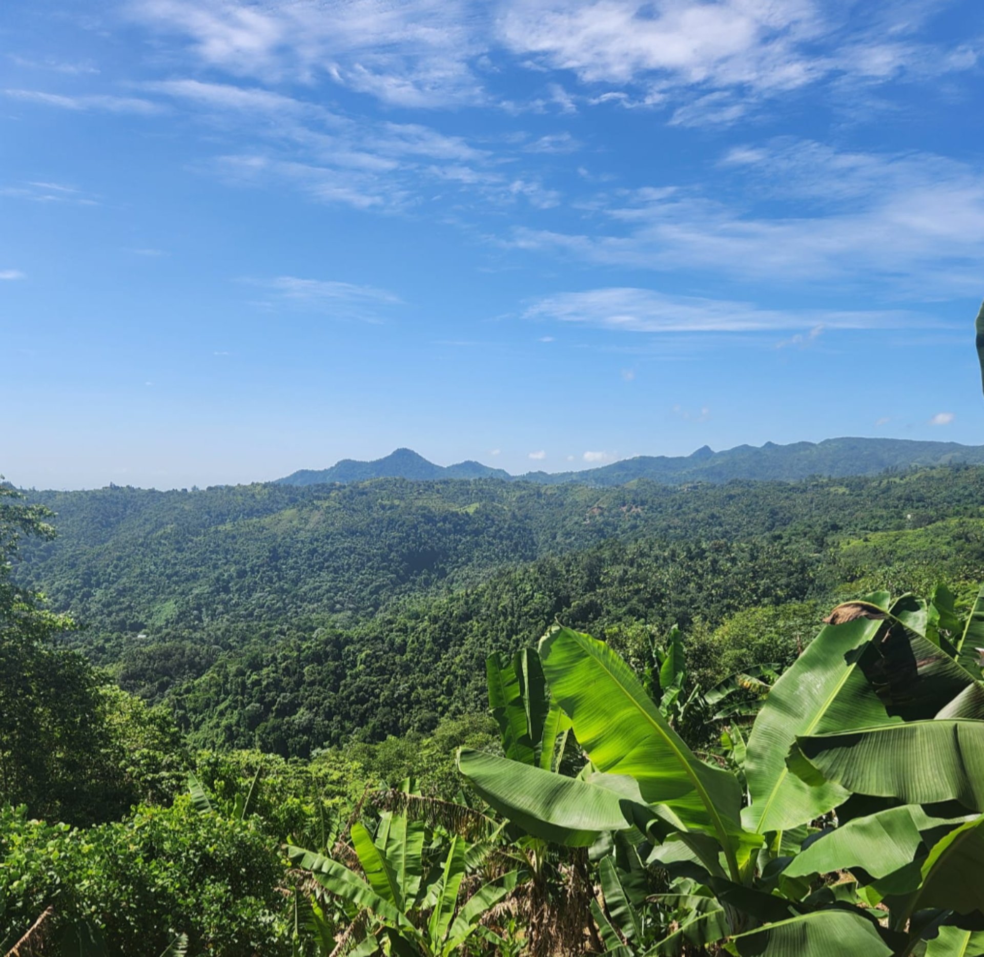 person wearing grey knit sweater