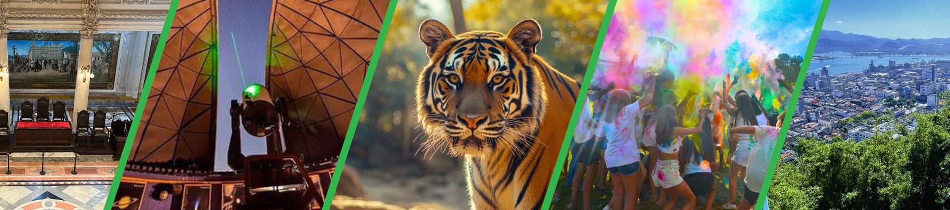 black blue and yellow textile