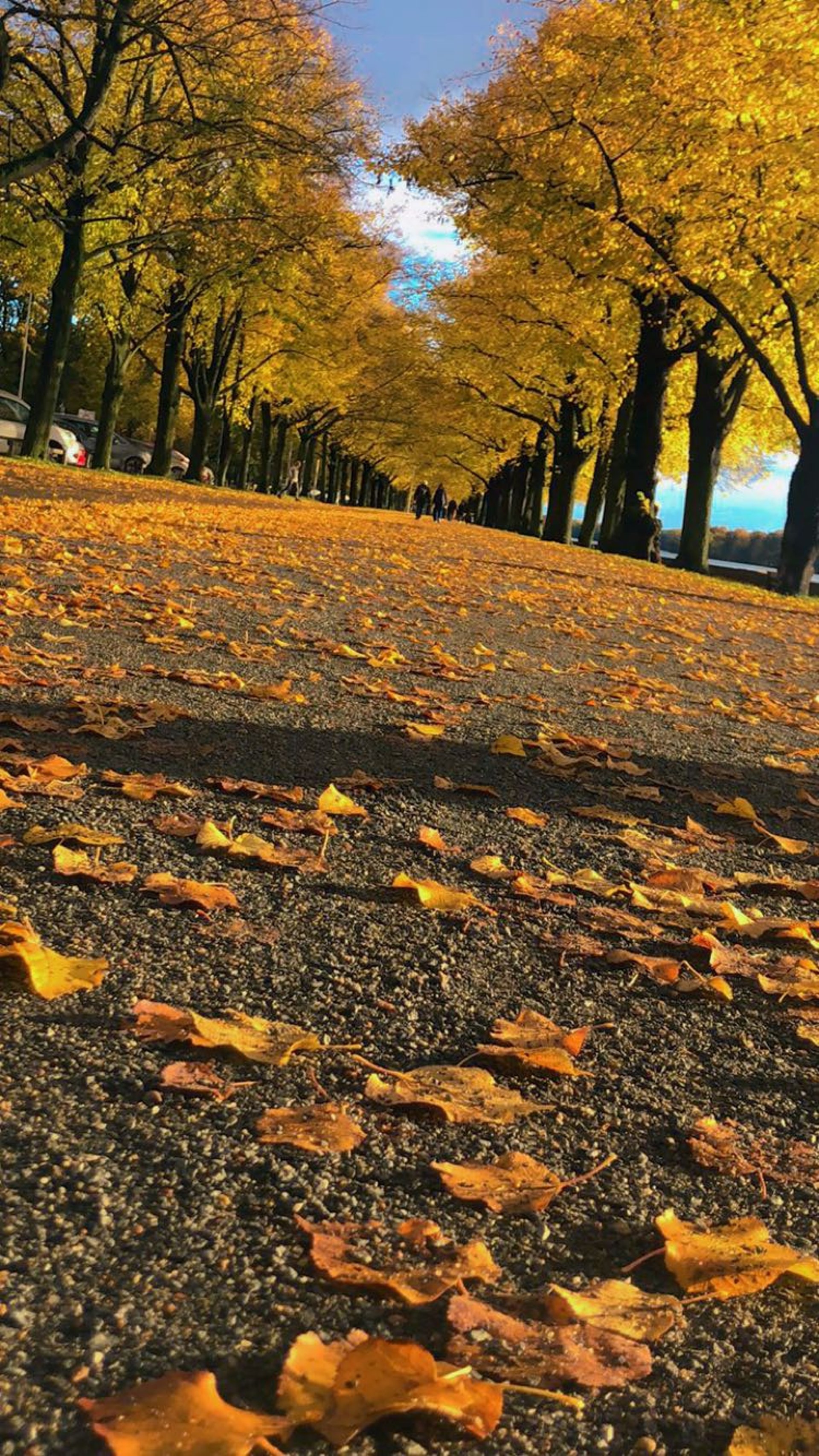 gray computer monitor