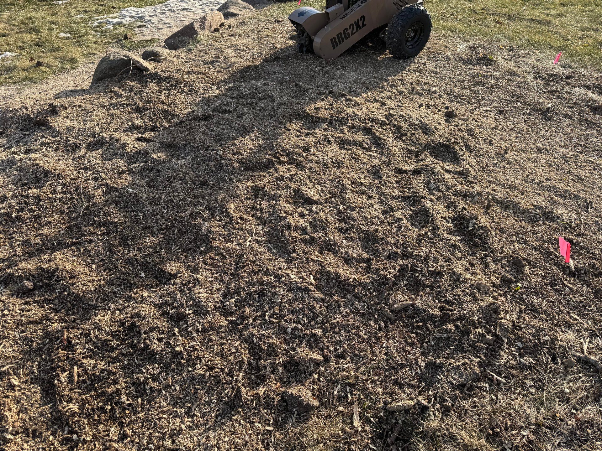 After stump grinding pine tree Clio, MI