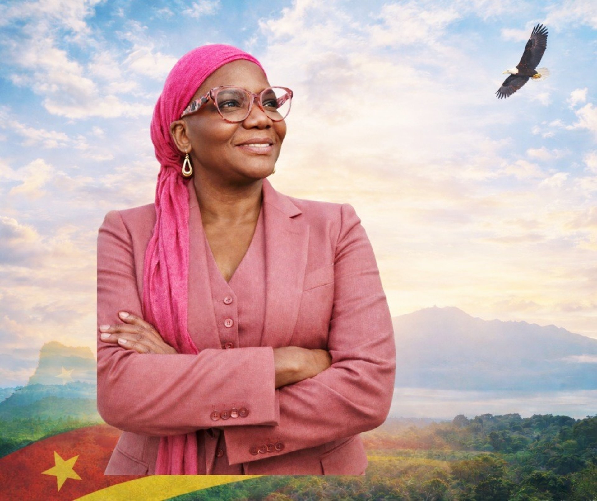 white and brown bald eagle