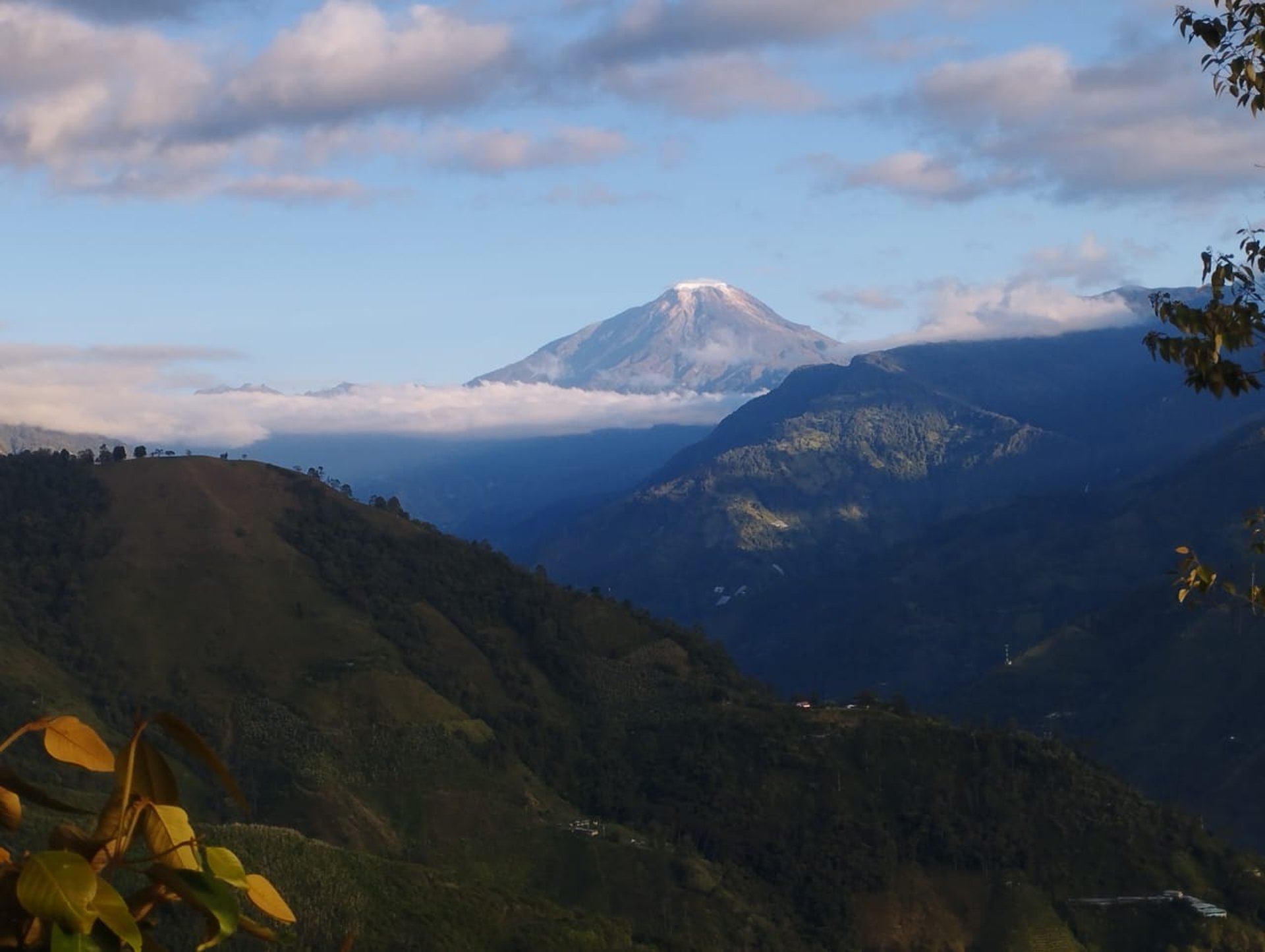 black and brown leather padded tub sofa