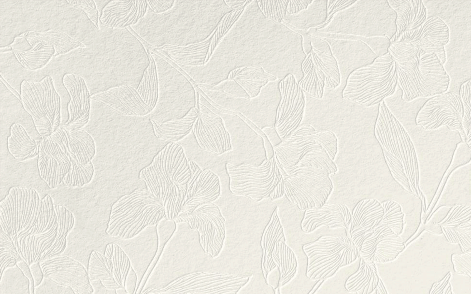 white wall paint with black line