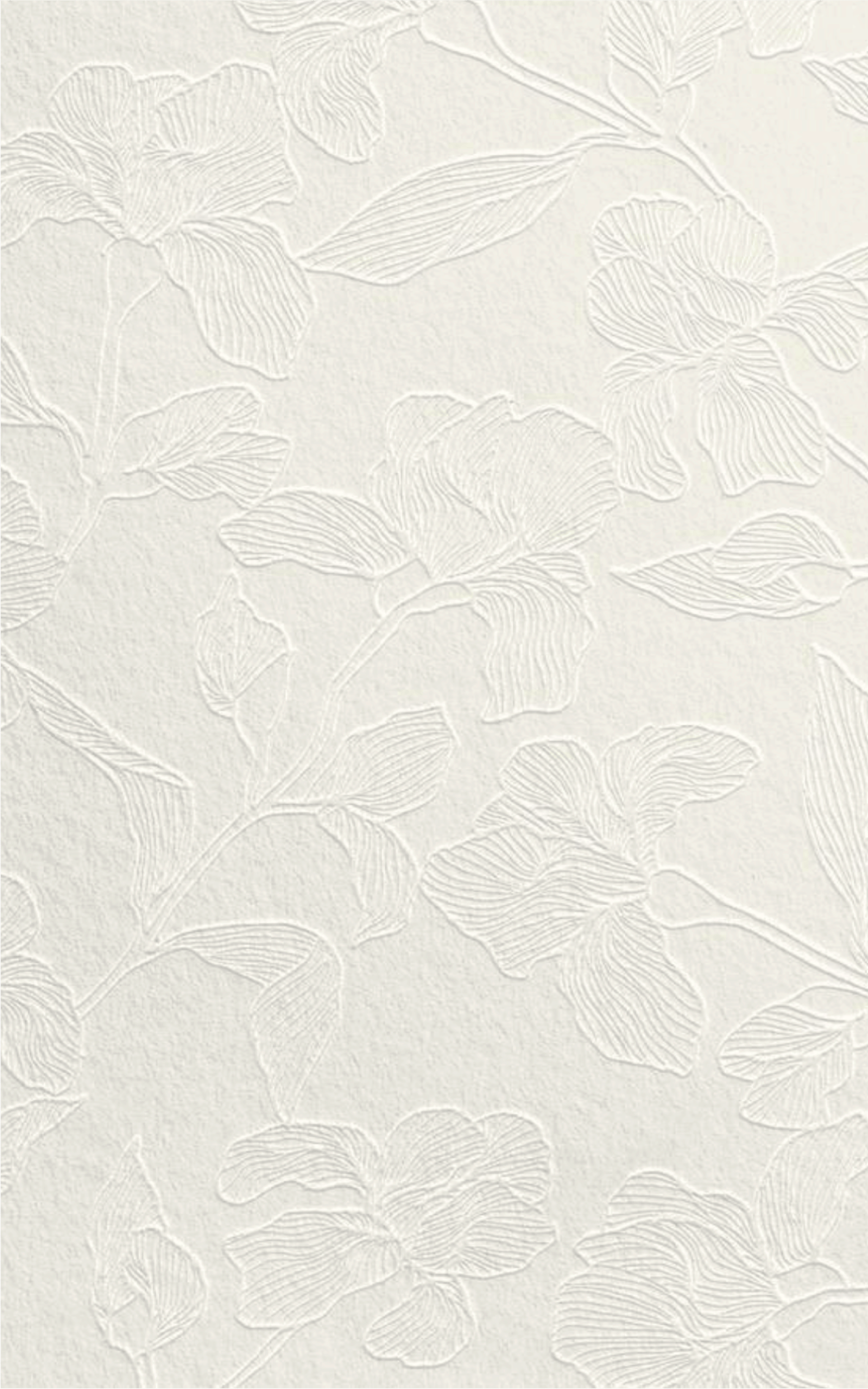 white wall paint with black line