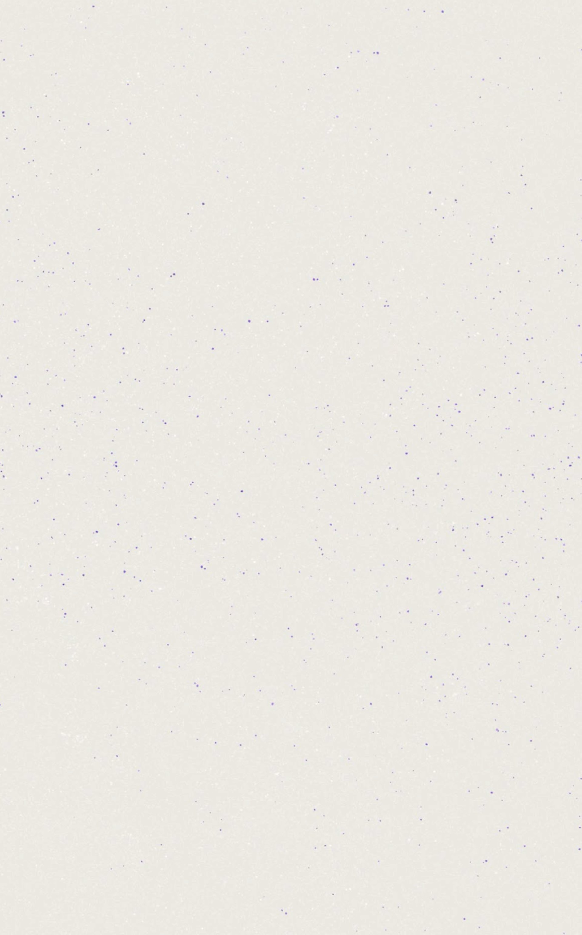 white wall paint with black line