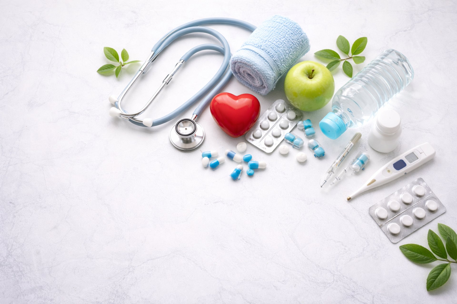 person holding passports