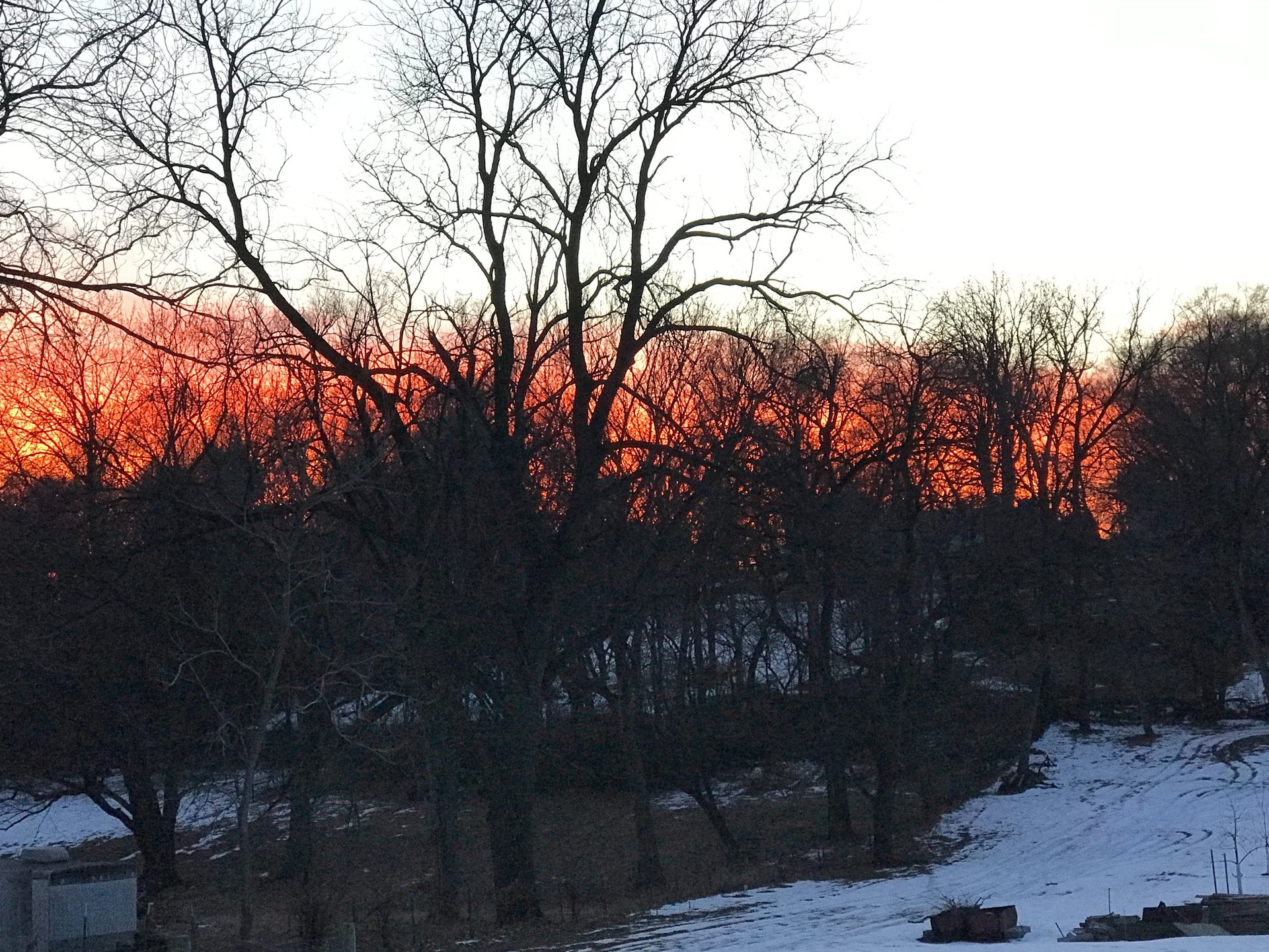 woman holding dried flower