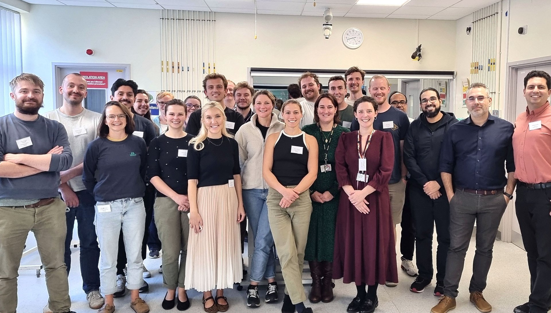 hot air balloons flying above trees