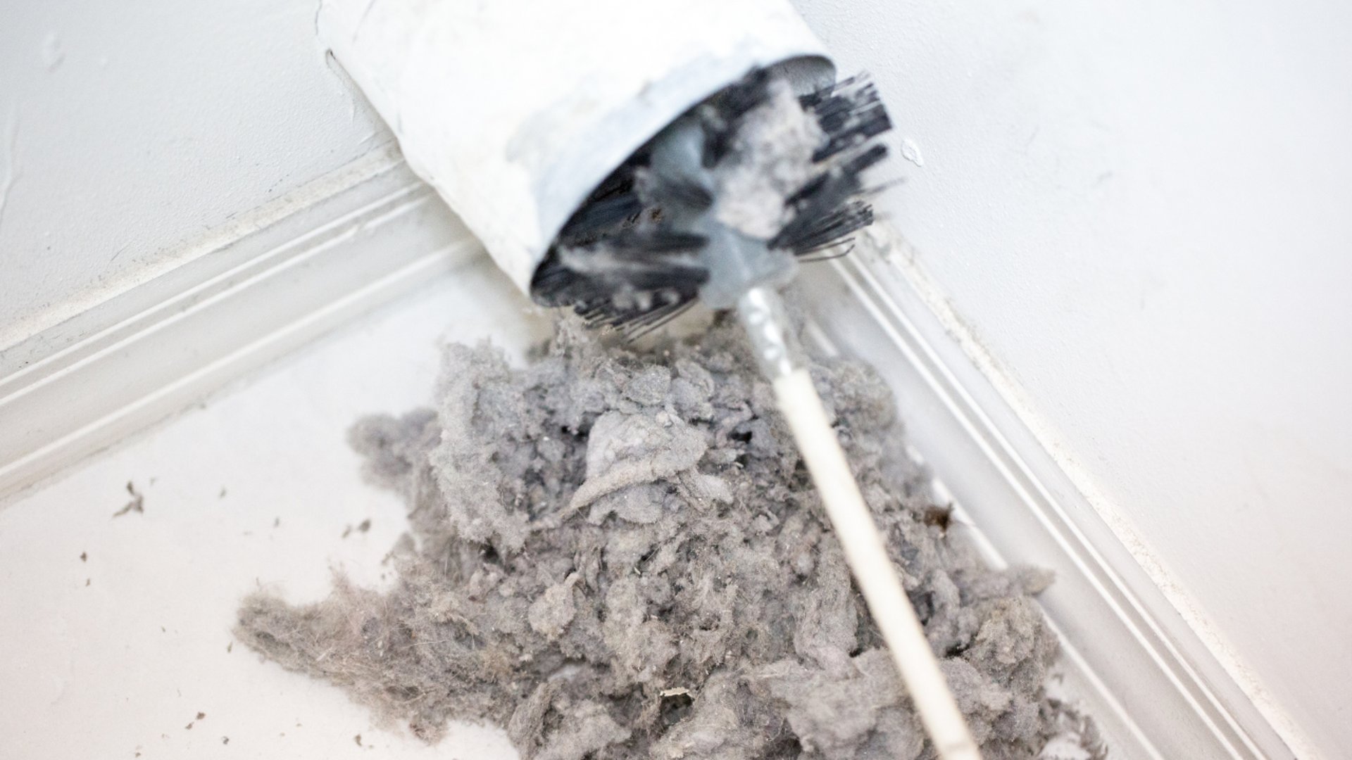lint brush