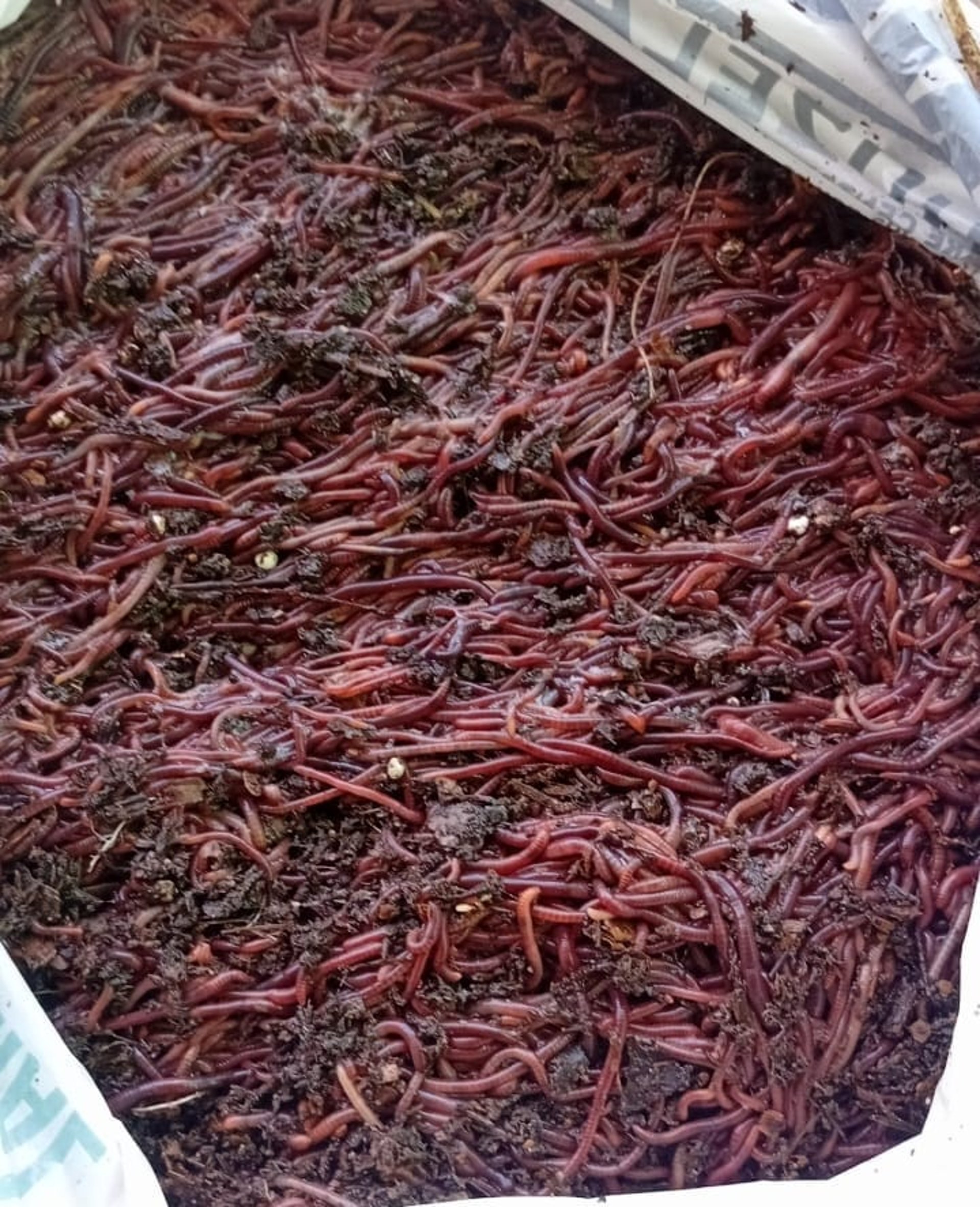 a close up of a black and brown abstract painting
