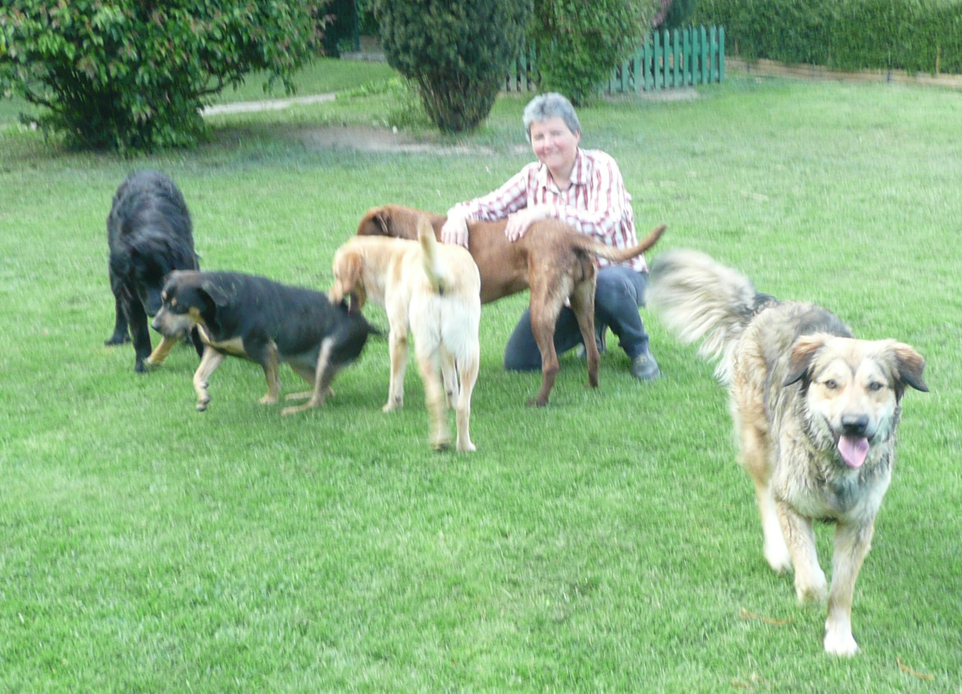 black blue and yellow textile