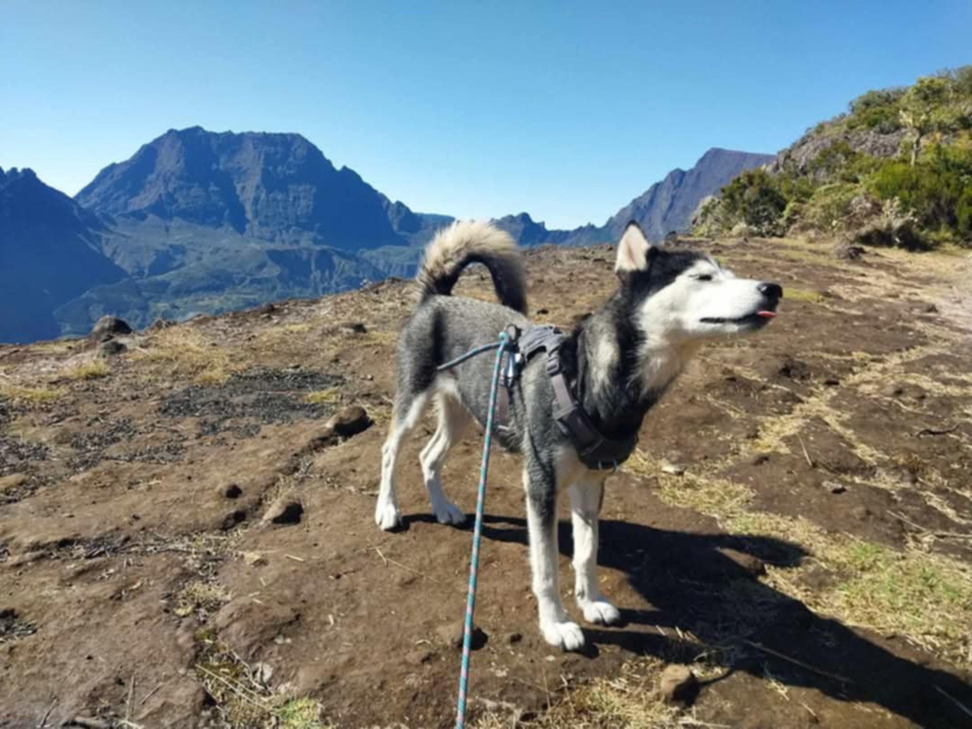 black blue and yellow textile