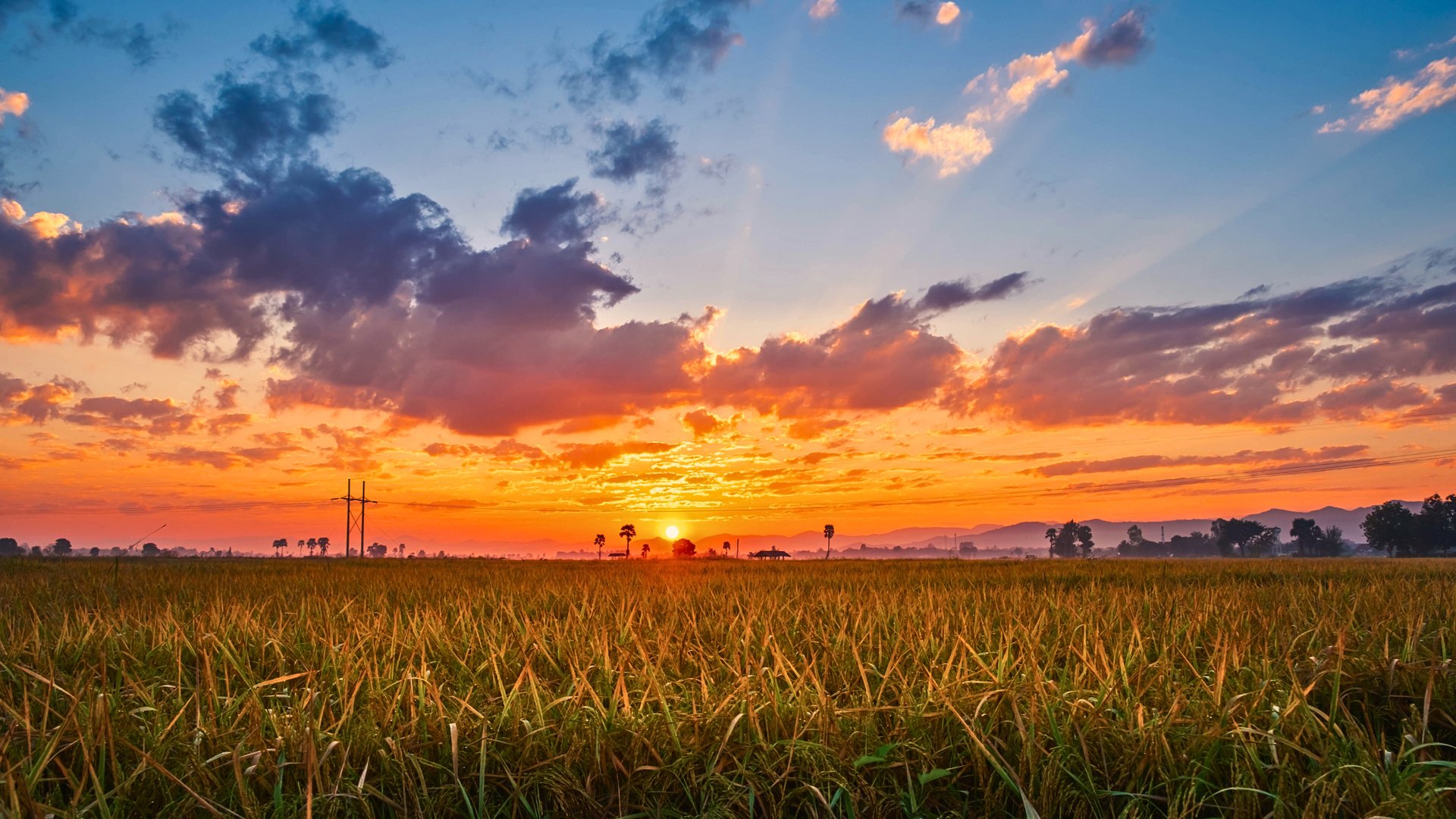 aerial photography of green mountain