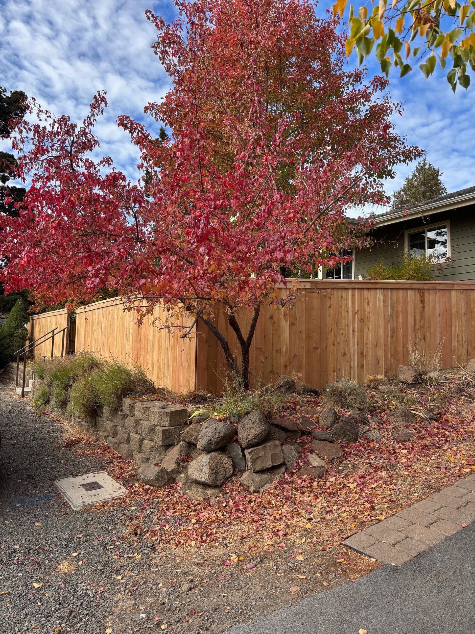 woman wearing yellow long-sleeved dress under white clouds and blue sky during daytime