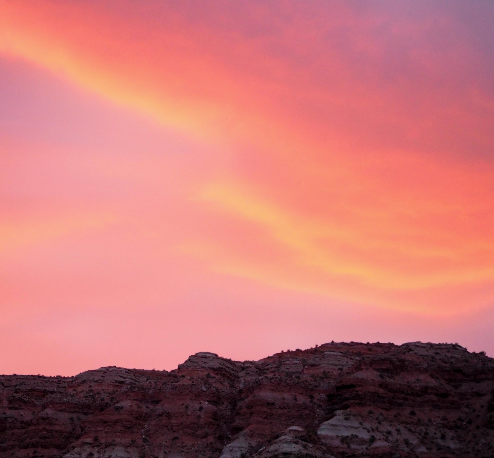 brown wooden house on lake