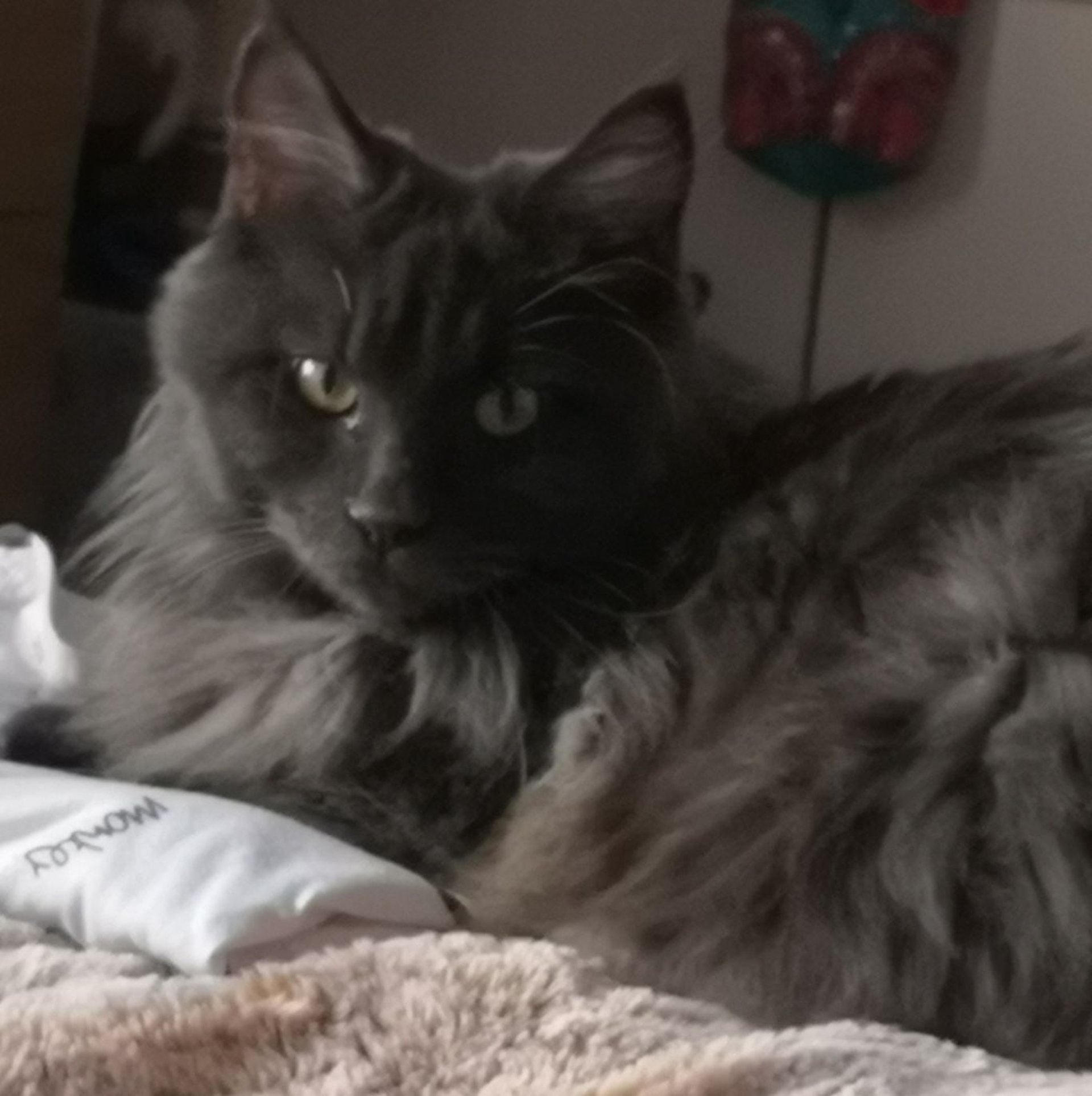 woman wearing yellow long-sleeved dress under white clouds and blue sky during daytime