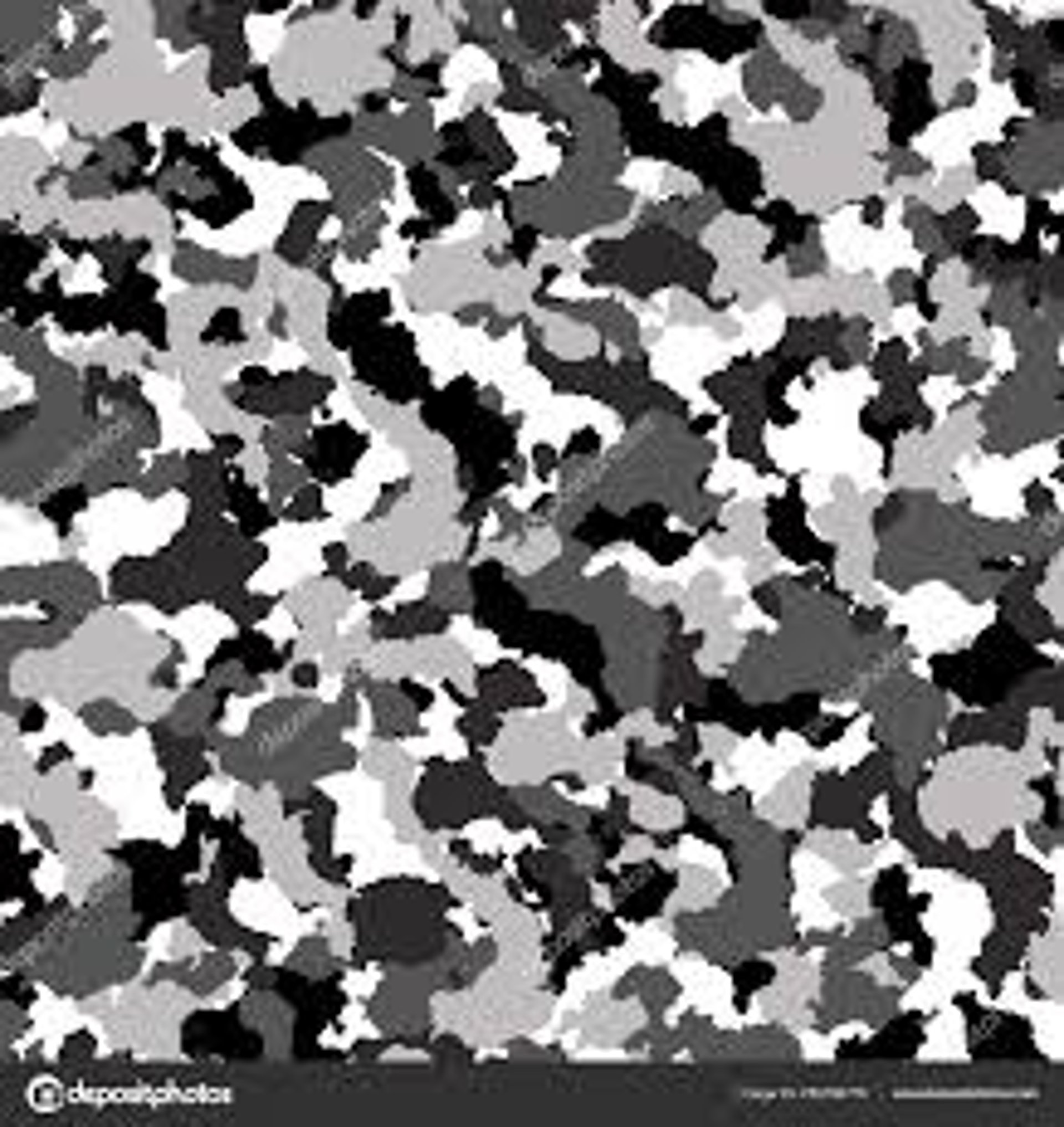 black and white zebra textile