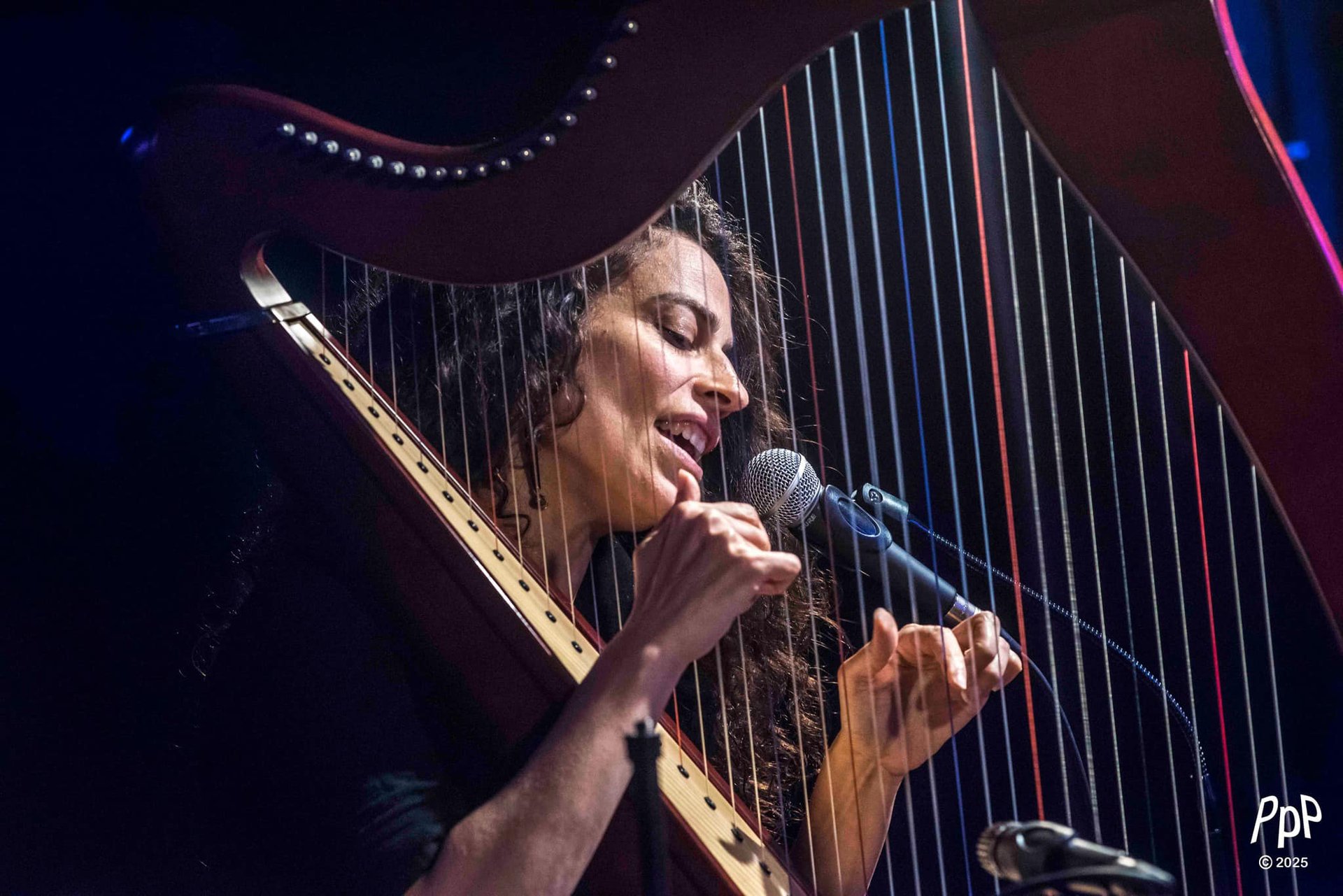 gray computer monitor