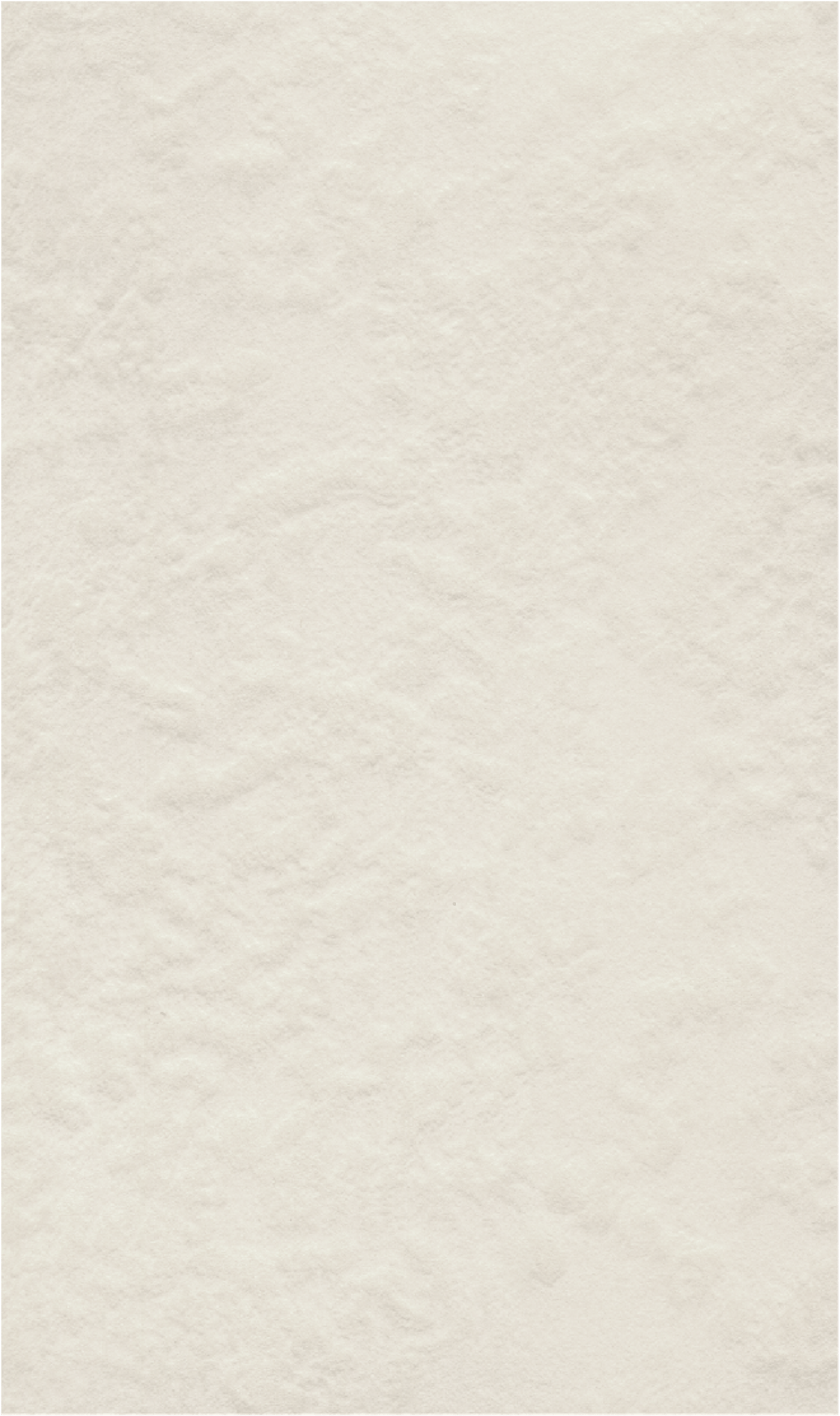 couple wearing silver-colored rings