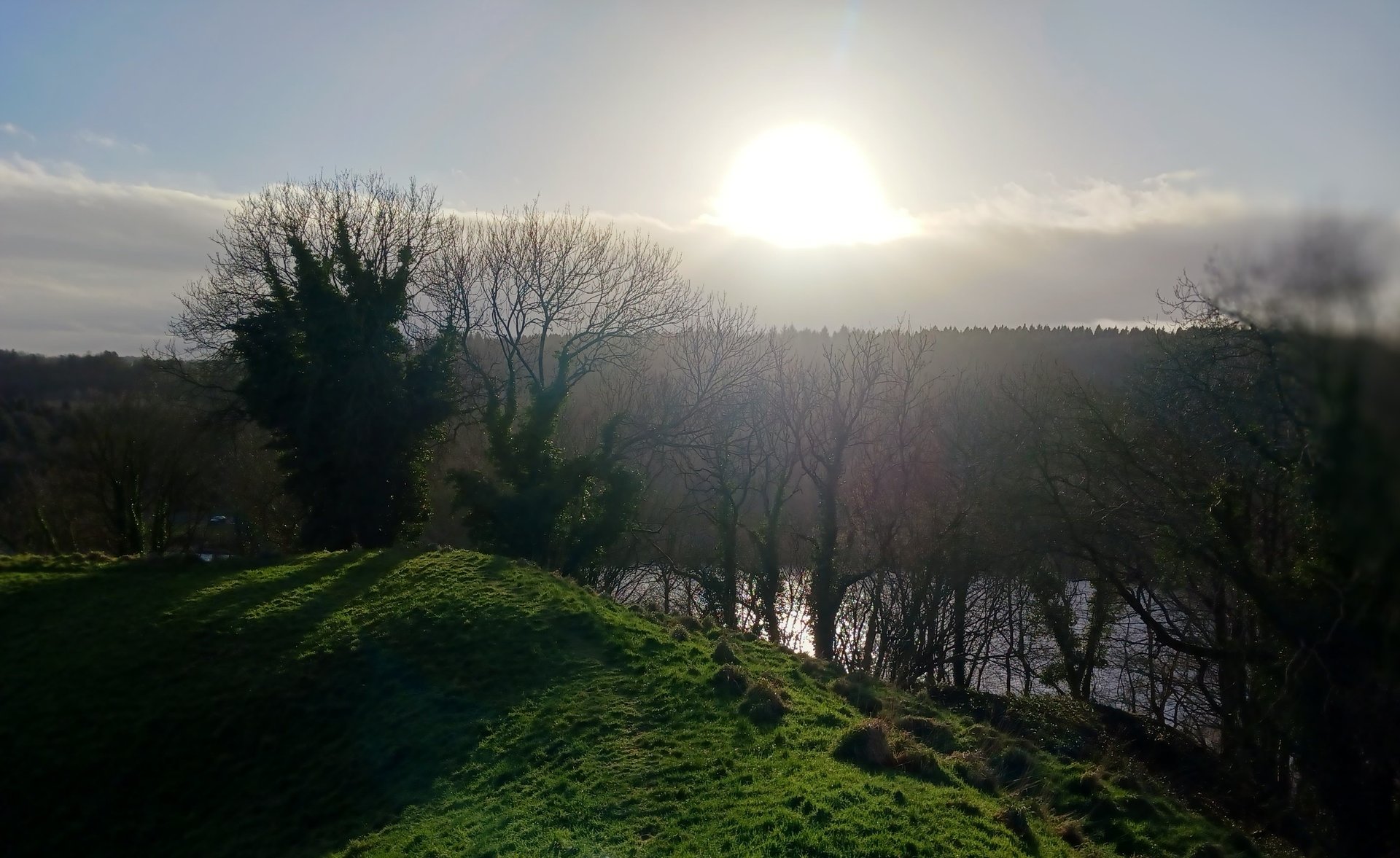 gray computer monitor