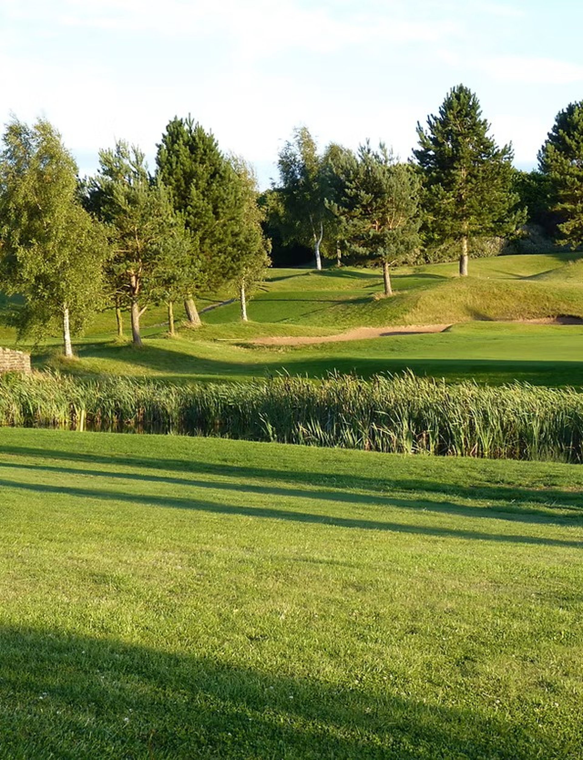 gray computer monitor